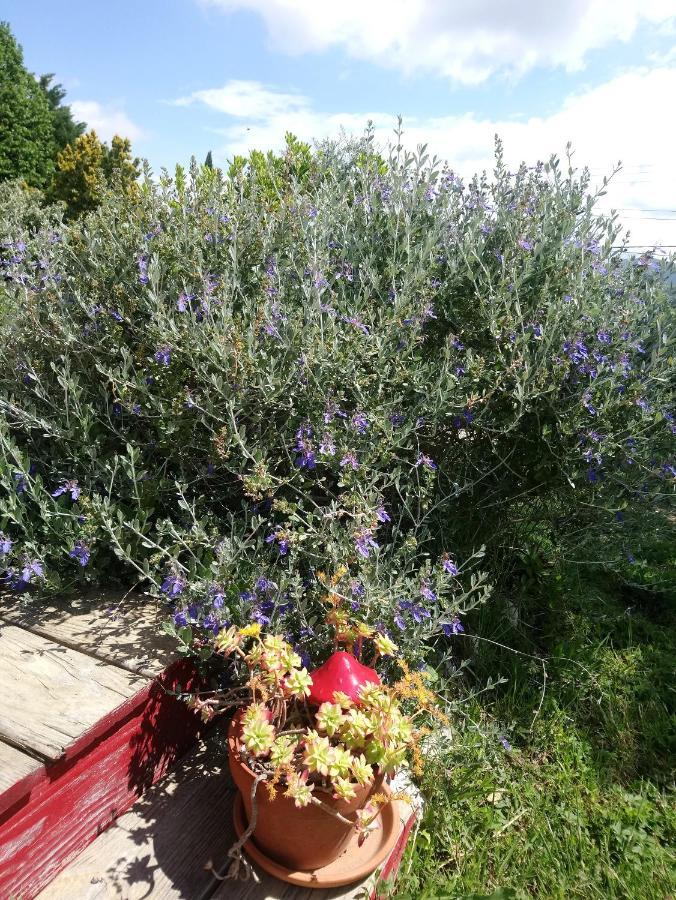 Bed and Breakfast Brindepaille Vallon-Pont-dʼArc Esterno foto